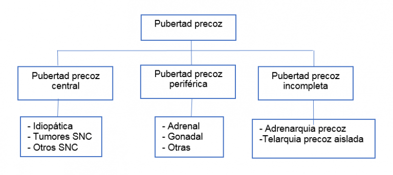 Pubertad Precoz: Parte I, Clasificación Y Evaluación Clínica - Escuela ...